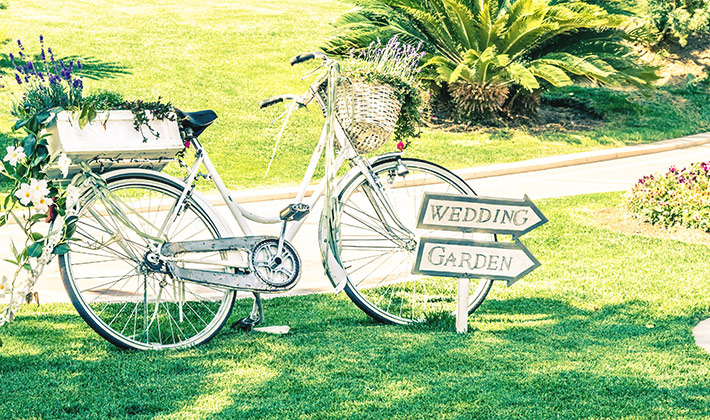 ベストシーズンはいつ？どんなことに注意が必要？